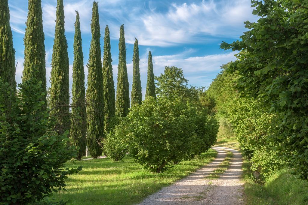 Готель Fattoria Di Vibio Monte Castello di Vibio Екстер'єр фото